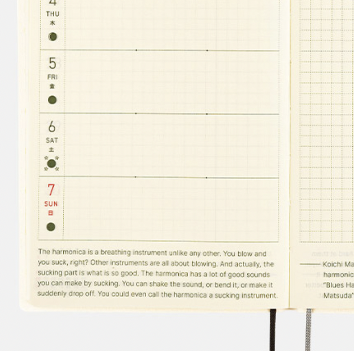 Hobonichi 2025 Australian Berrie Tammie