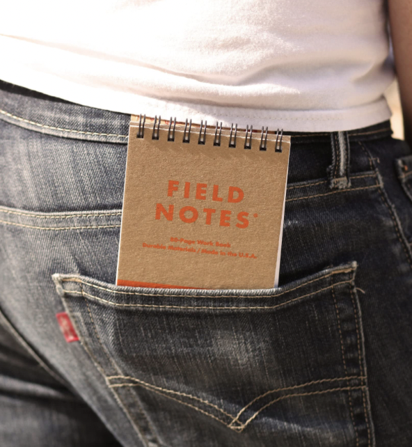 Field Notes Heavy Duty 2 stk/ Ruter/ Linjer P - LUSH DIVE AS